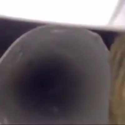 It knows what's good