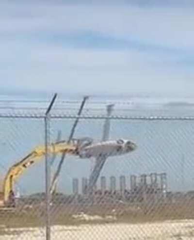 Playing with a plane.