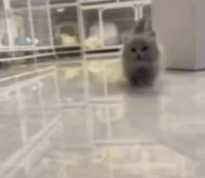 Done picking silly avatars, time to put on wallpaper