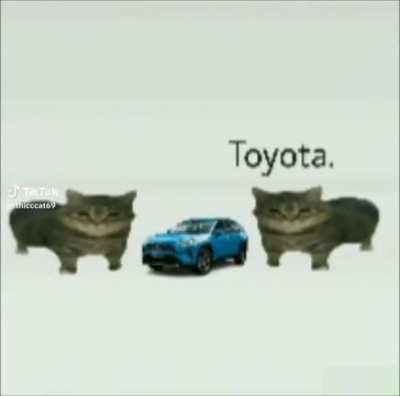 Toyota cars