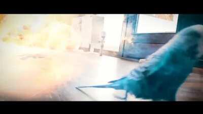 Bird running in Slo-Mo with special effects