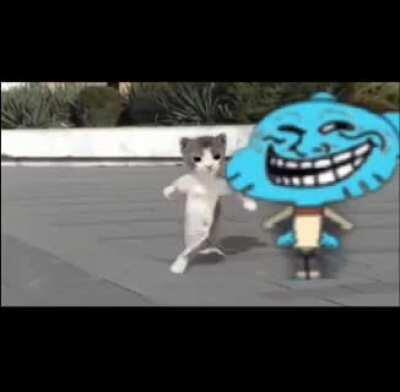 Joe biden blasted (قتل)