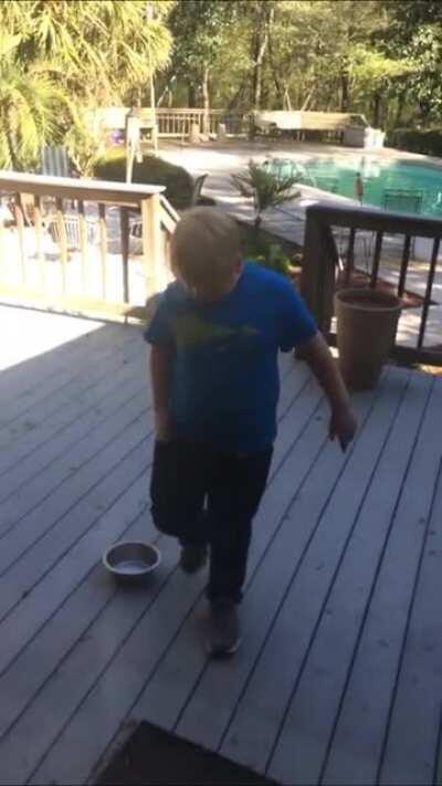 DBS banging on the glass so hard!