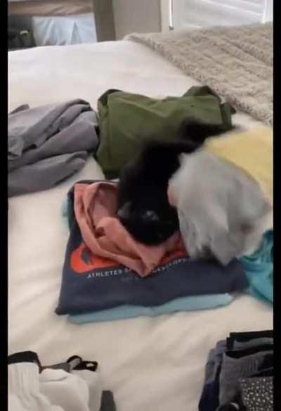 Kevin is an asshole.