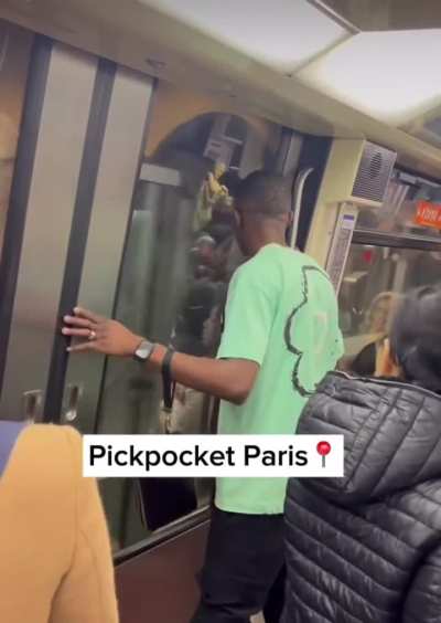 Daring Pickpocket Snatches Phone Through Closing Metro Doors in Paris