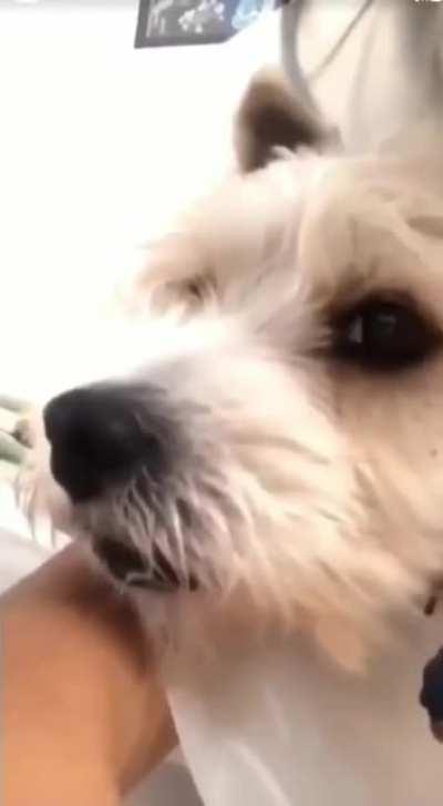 COVID scares him too (+sound)