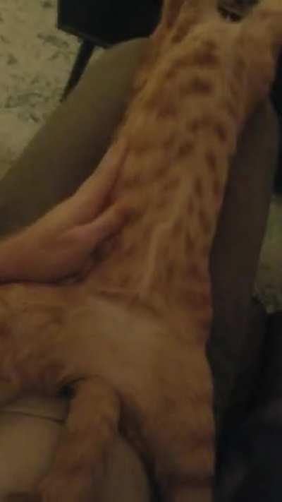 This is Cthulhu. If I don't do this, everyone will die.