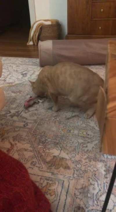 He’s always got something to say🙄