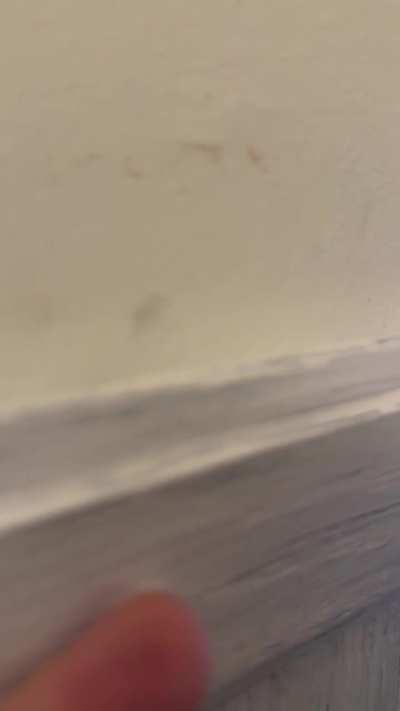 American Management locked my cat in the wall