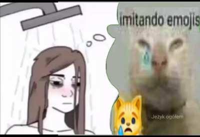 chada imitacja emocja kot jest moim pierdolonym życiem