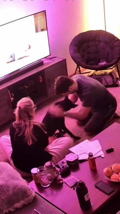 My rescue has been afraid of men her whole life and finally accepted me!