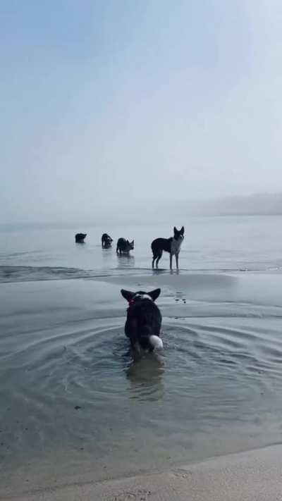 If we stay perfectly still we will be Imperceptible... oh crap he's on to us everyone scram!