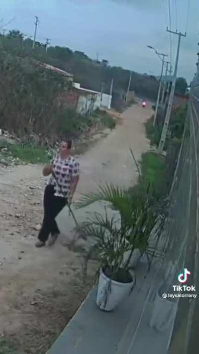 apenas mais um dia na vida de quem estaciona o carro em garagem com doguinhos