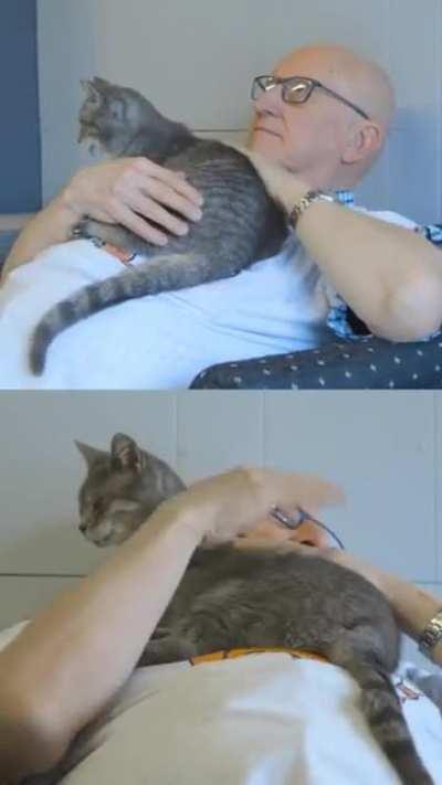 Terry volunteers daily at his local shelter to take naps with cats
