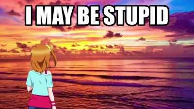 I may be stupid