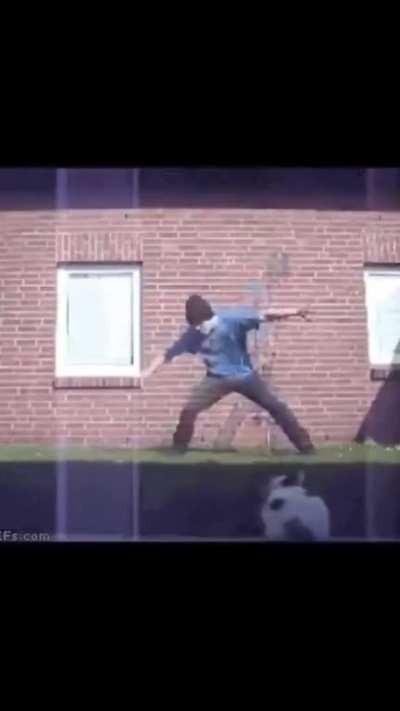 My cat people need me