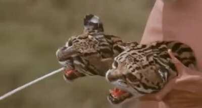 Less than 24 hours until r/pan goes live!