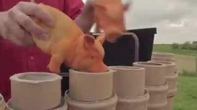 Adult Dewey right now