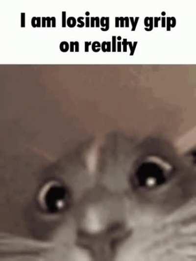 I have started a trout-population-reporting spree on a Deltarune arg, and no one knows