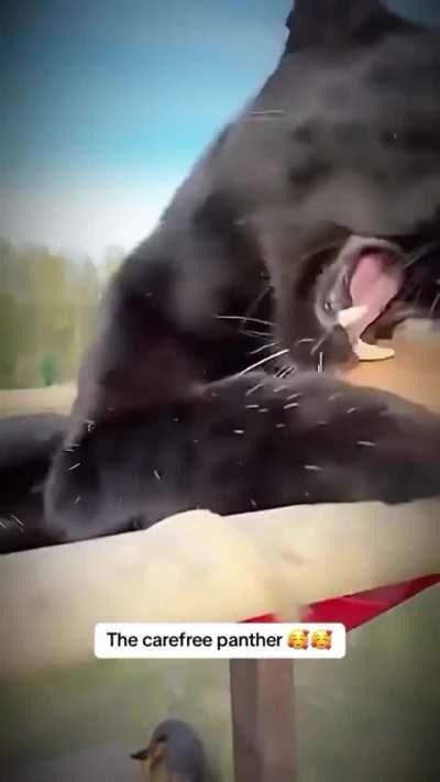 That's a solid pass for me