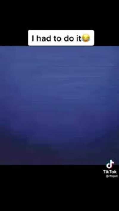 Go Carti Go Carti Go Carti