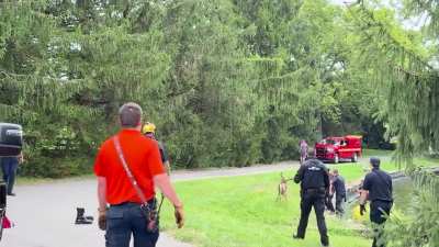 Maybe it wants to drown?