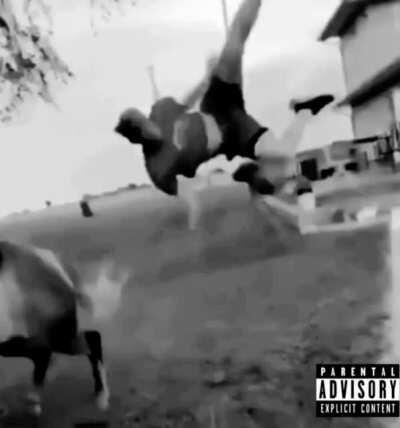 Sometimes you just gotta Die Lit!