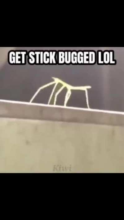 you expected a rickroll? you fool...