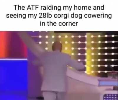 AtF lIkEs To ShOoT dOgS