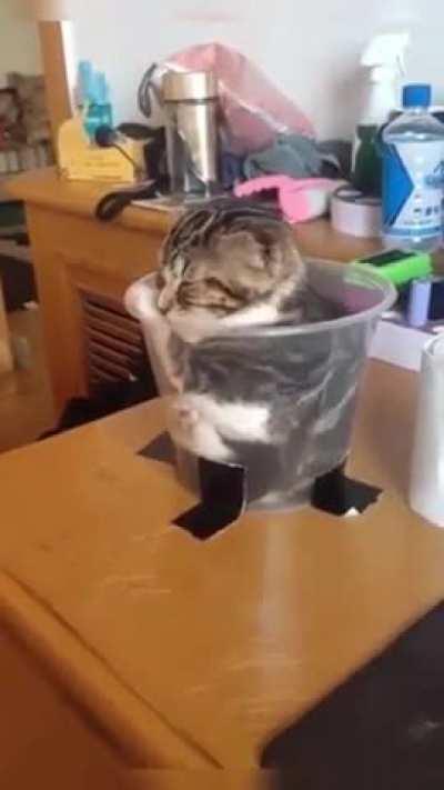 liquid in the busket