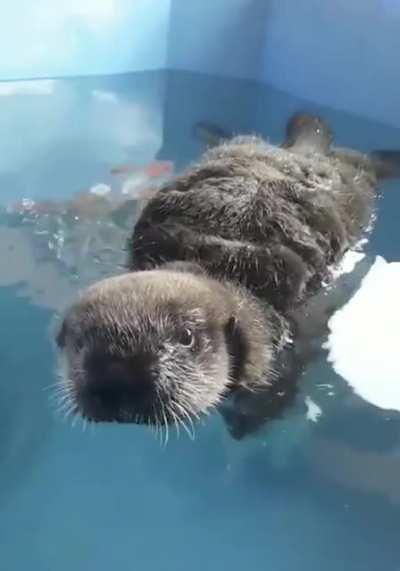 Idk what he’s saying but I agree