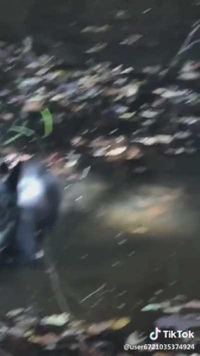 Didn&rsquo;t expect it to fit so well