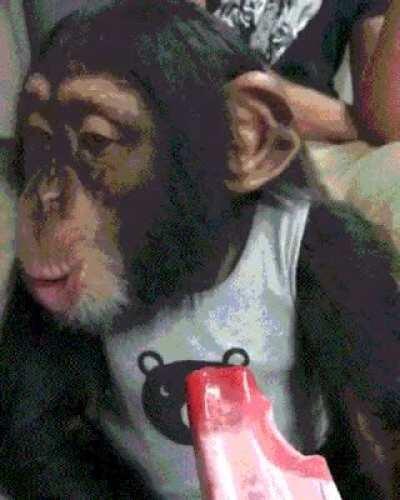 Monke truly happy he do be kinda cute doe