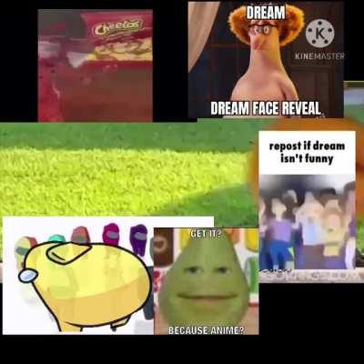 Look at this freakin cool dinosaur