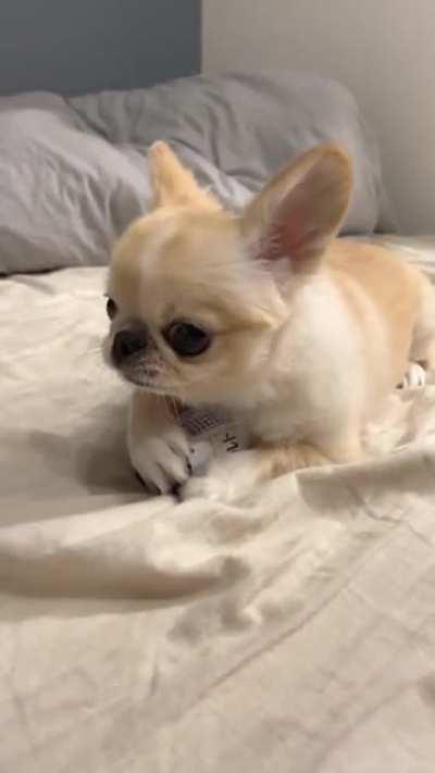 Go Ahead, Make My Day