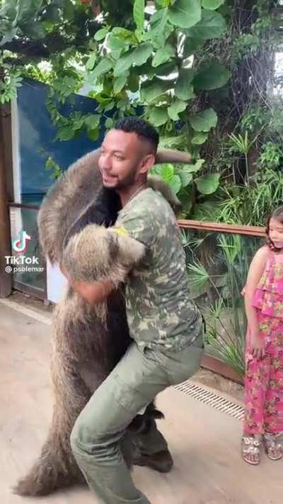 I was not aware that giant anteaters are a thing.