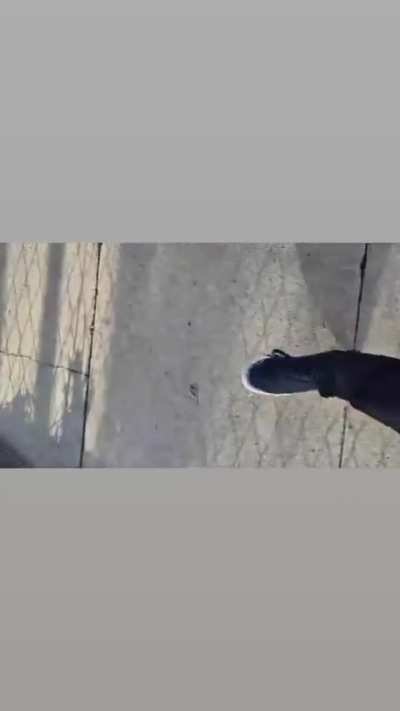 Walking my dog across the street from a very tolerant mans house