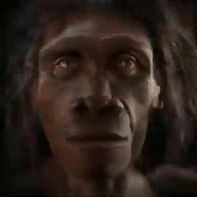 Reject humanity, become monke