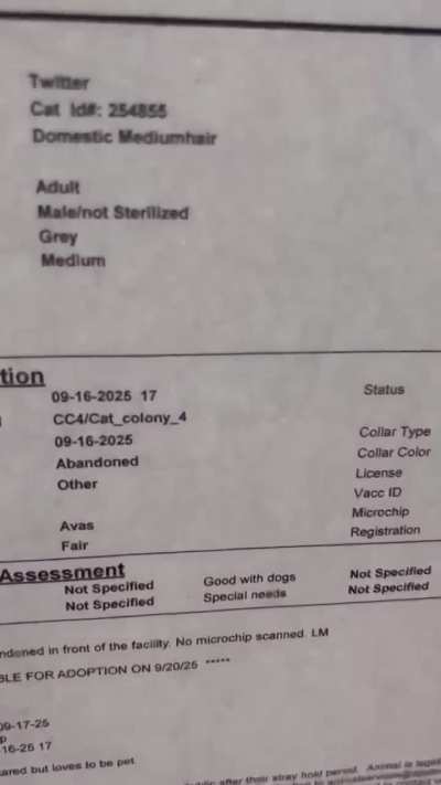 ‼️URGENT >> TWITTER >> Abandoned (dumped after hours at the shelter) >> sweet >> but at risk due to length of time at the shelter >> Apple Valley Animal Shelter, San Bernardino County, CA