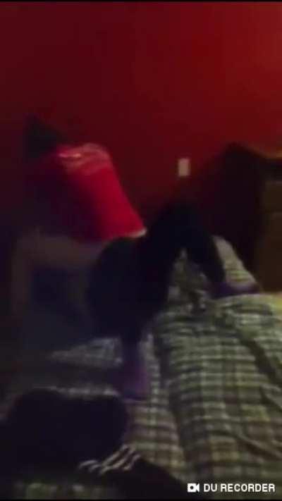 Girl gets her ass whooped and face humped! She got absolutely humiliated in front of everyone