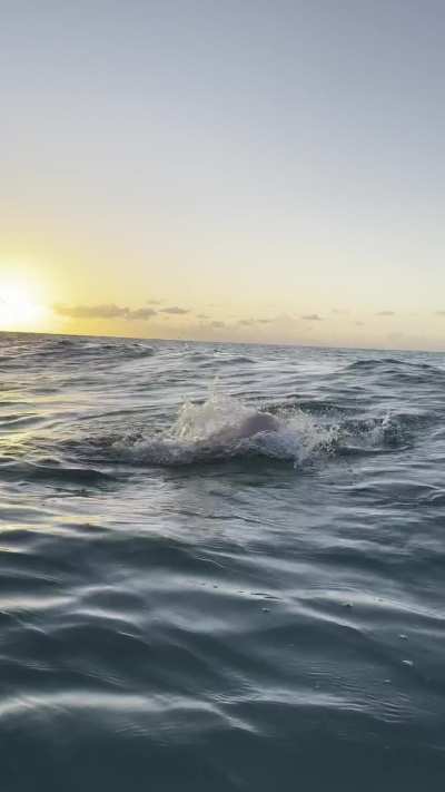 this feel sooo amazing