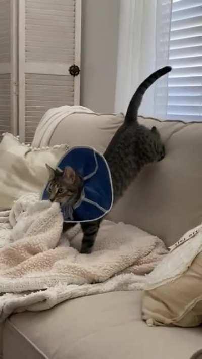 Anybody know what’s going on here?