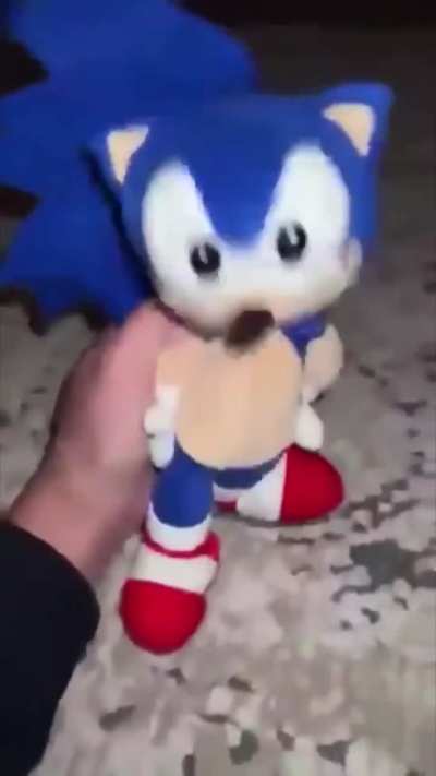 This video gives me maternal instincts for sonic