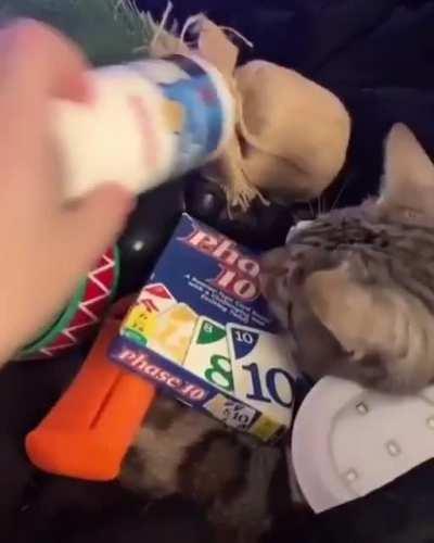 Kitty doesn't care about what’s stacked on him.