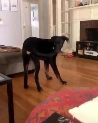 Uhm... now what do I do?