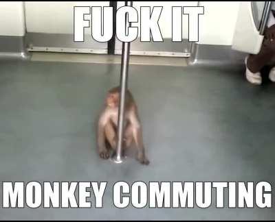 deram thaetear is goood musicsa