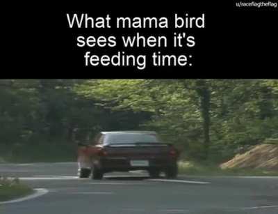 Killing your animemes