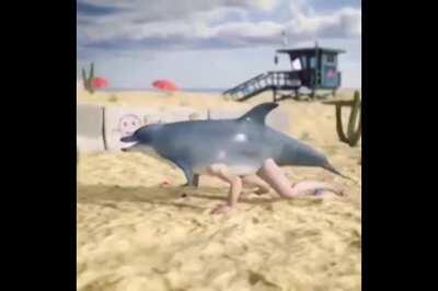 Blursed_Dolphin