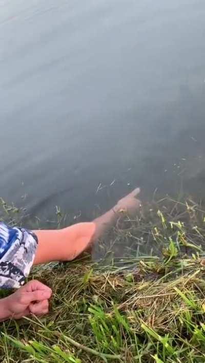 Hillbilly hand fishing.