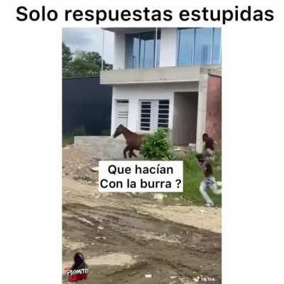 NOOO, LA HIJA DE MI PANA JUAN EN ORGÍA PERUANA. BUENO ESPERO SE DIVIERTA